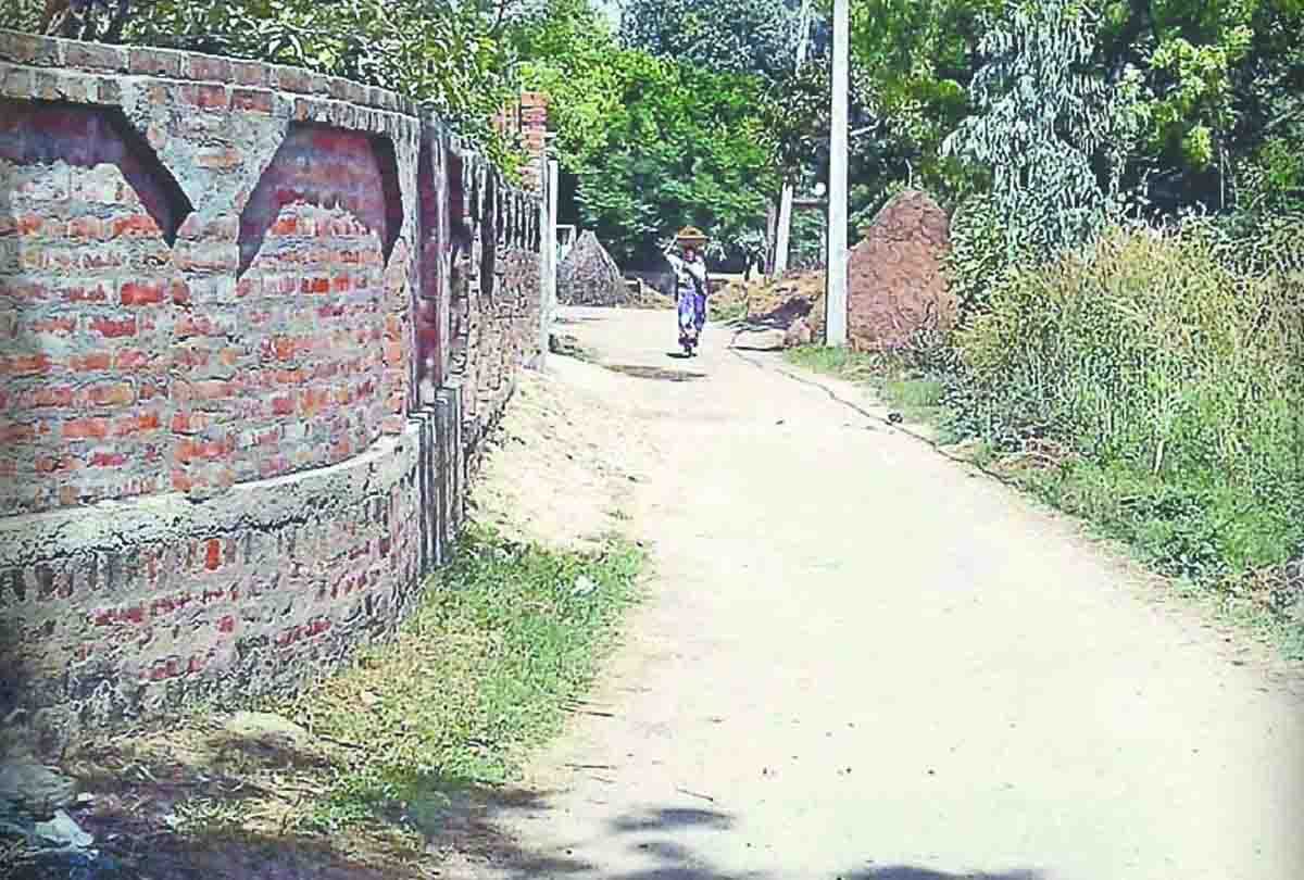 two hundred bigha crop have been burnt to ashes