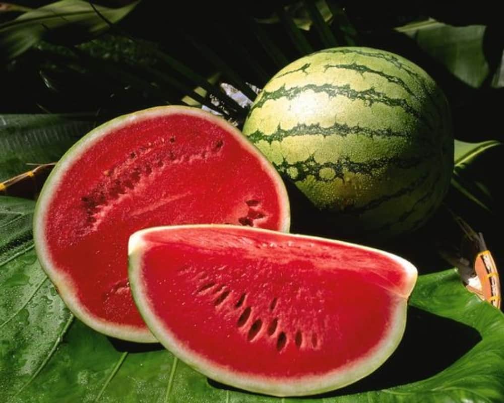 do not drink water after eating this things in summer season