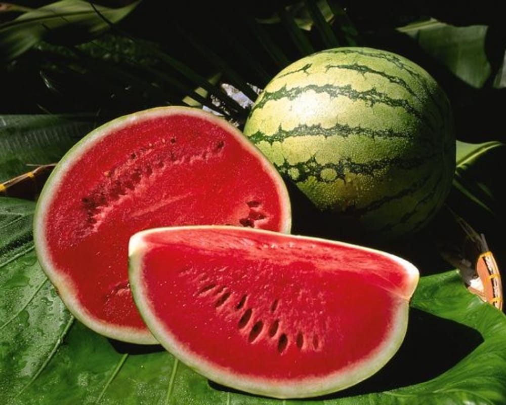 This monsoon avoid taking these fruits to stay healthy and happy