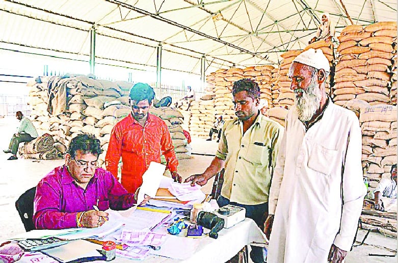 Shopping for 12 thousand quintals of wheat