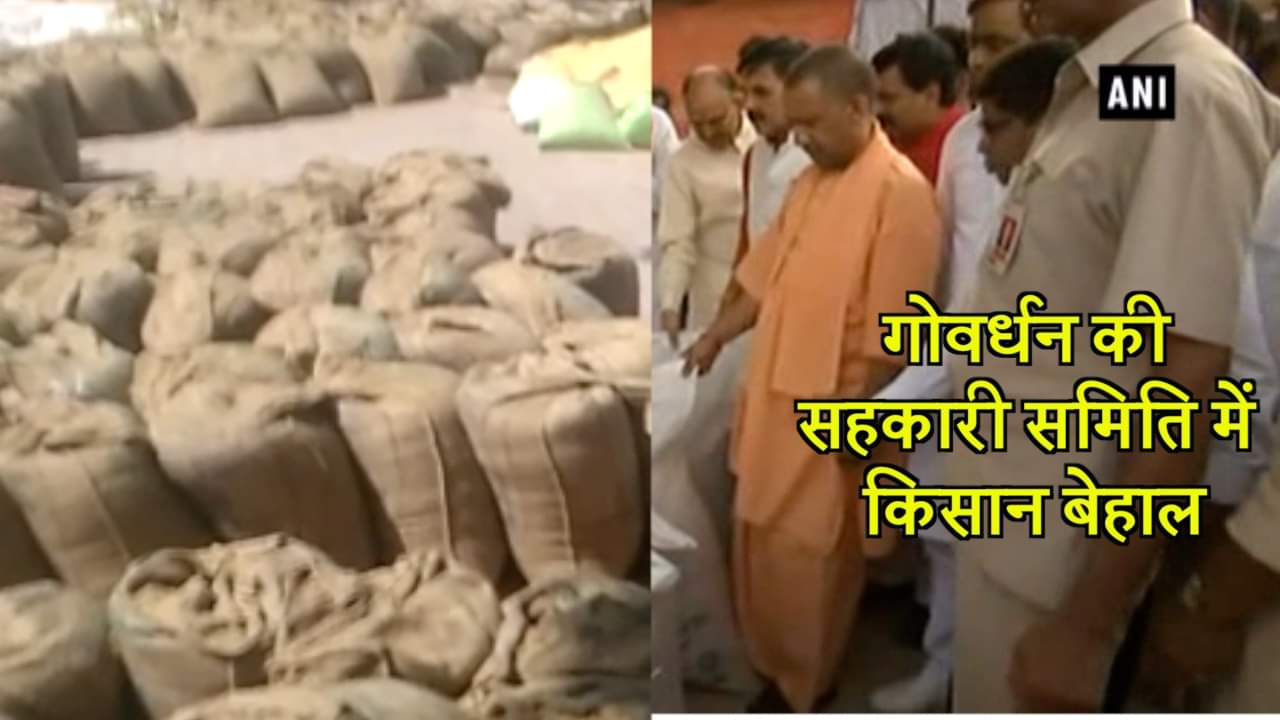 सीएम योगी मथुरा 