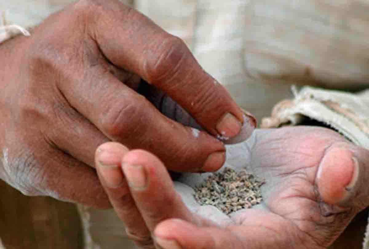 Food security officials did big disclosures about pan masala