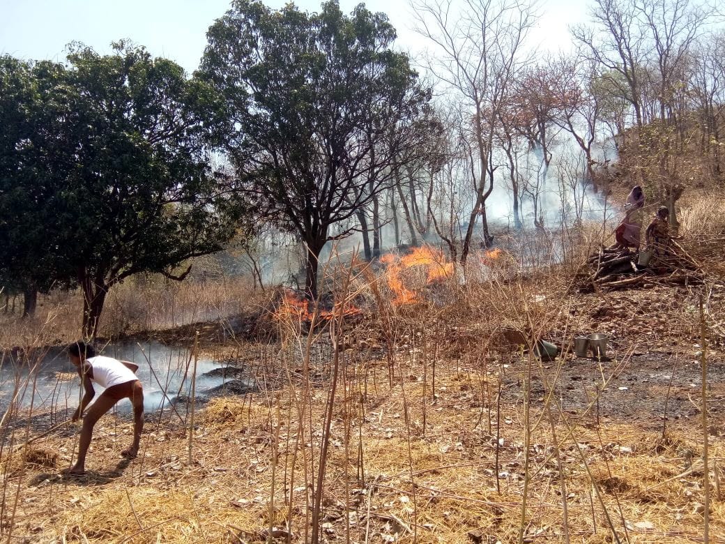 Loss of millions of fires