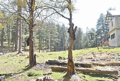 Kotkhai Gudiya Rape And Murder Case CBI Team with accused in dandi forest