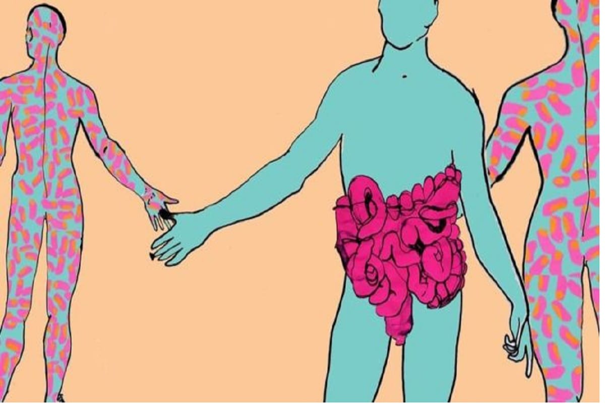 Potty of Others can save your live, transplant is hard