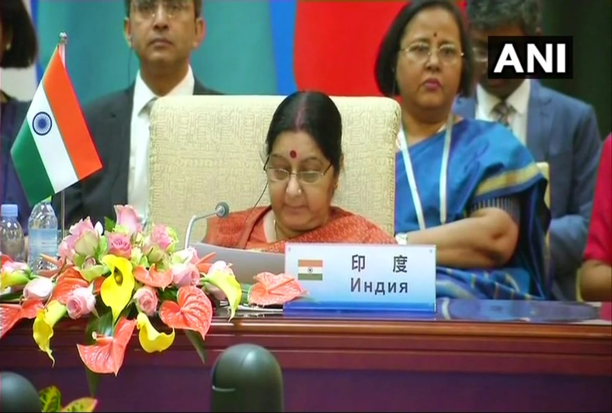 Beijing Summit: Sushma Swaraj Said SCO is a major platform for different matters 
