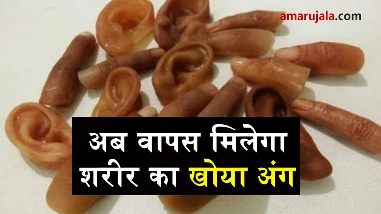 प्रतीकात्मक तस्वीर