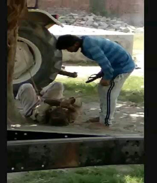 son harassed father with tree viral video