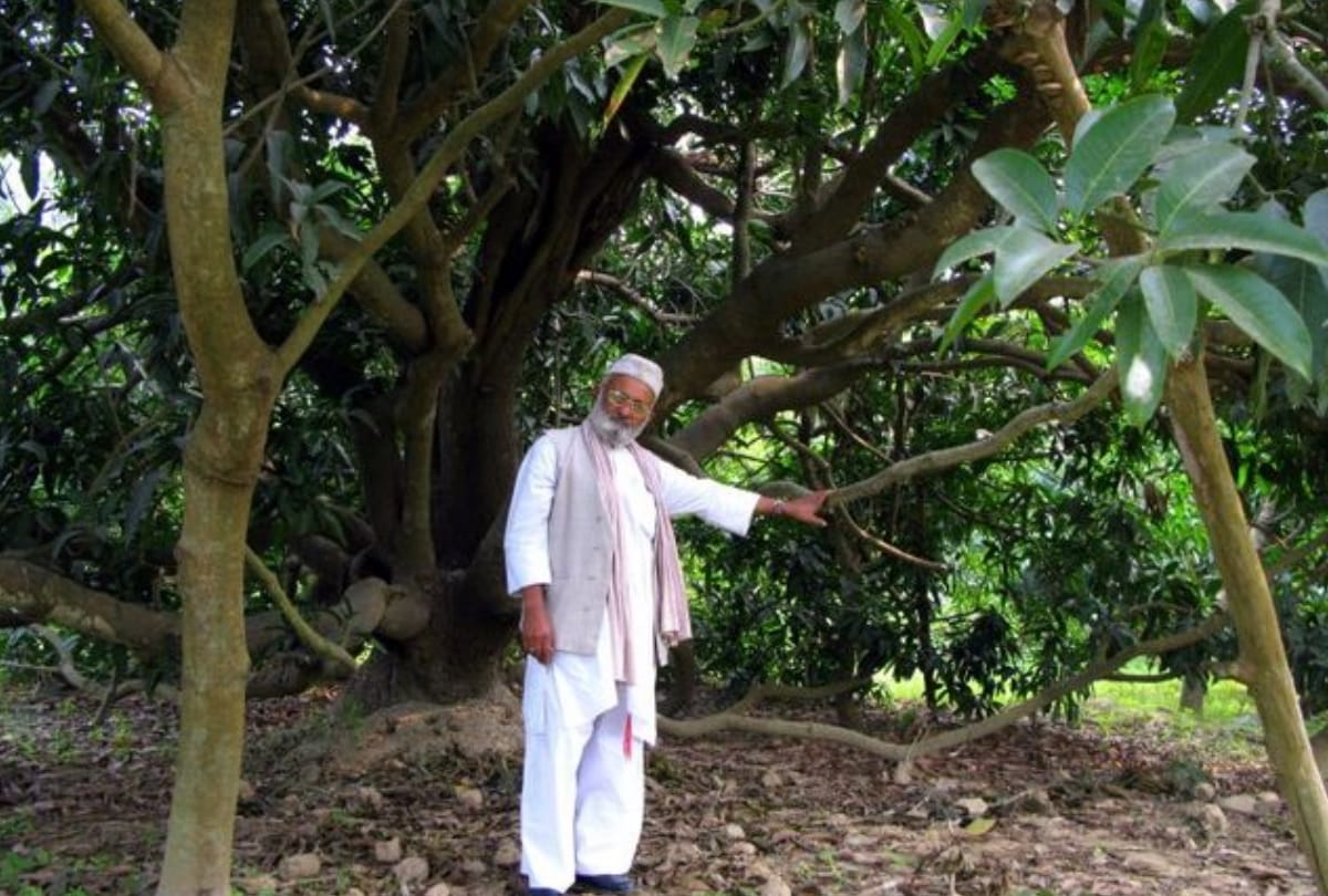 cardiac arrest to padma shri Haji Kalimullah Khan, did not got treatment in KGMU