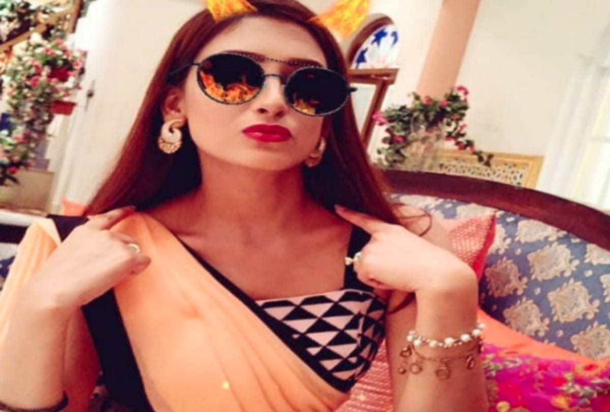 Reena Agarwal may replace by another actor in tv serial Kya Haal Mr Paanchal due to dog bite