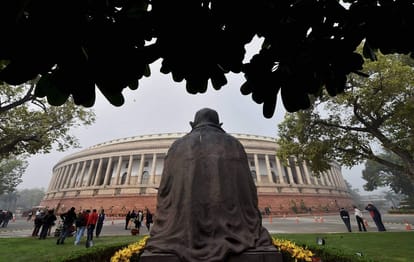 why central government has told protesters are professional in supreme court