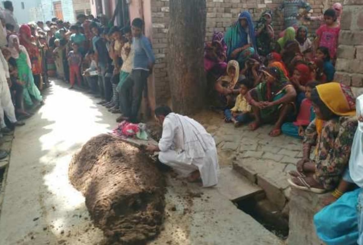 lady died after snake bite and she was dumped in cowdung