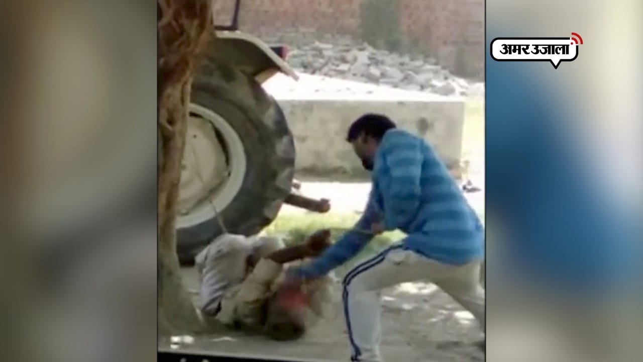 यूपी न्यूज़ 