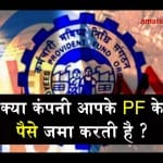 is company submitting pf in your epf account