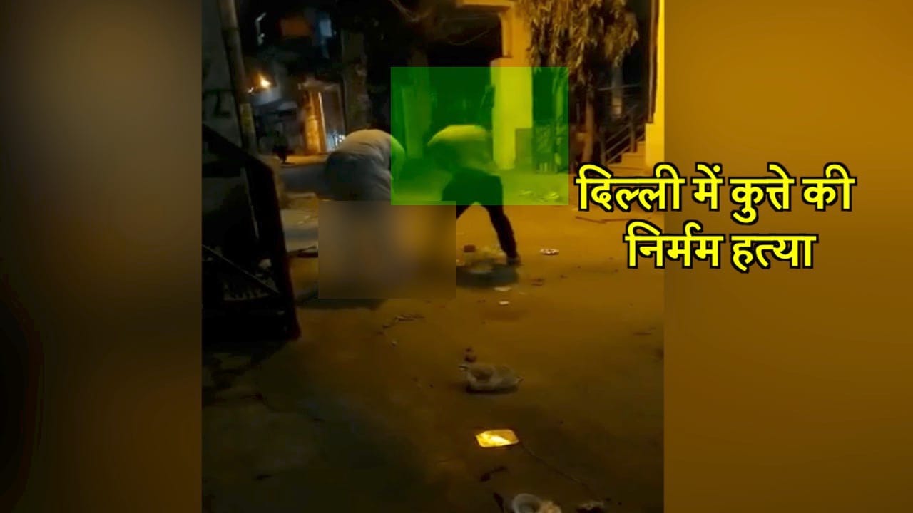 दिल्ली कुत्ते की हत्या