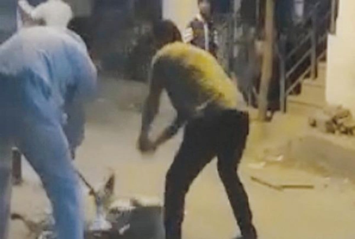 Father and son arrested for killing dog