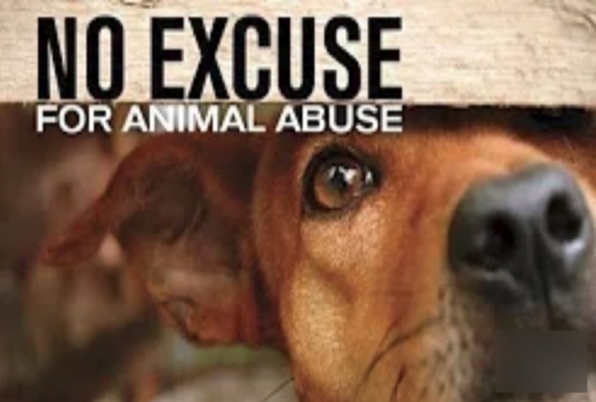 Father and son arrested for killing dog