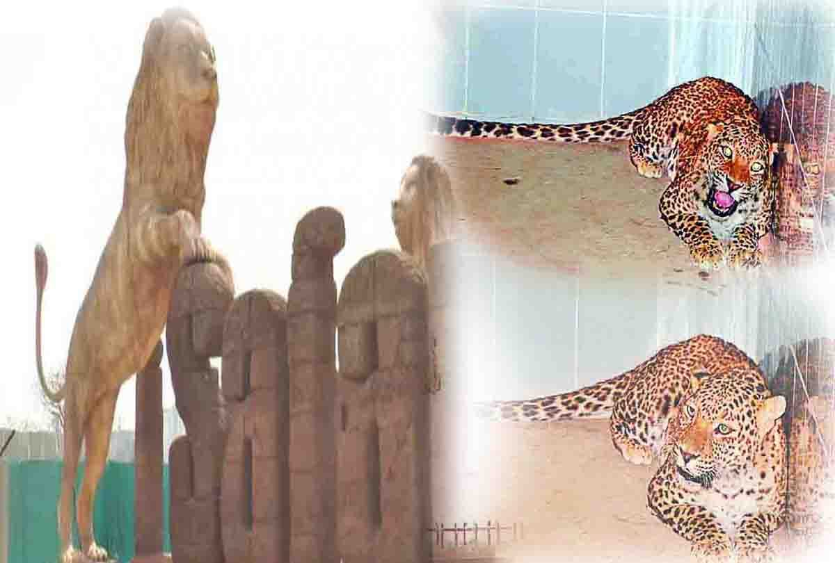 Etawah Lion Safari's door for tourists to open in June