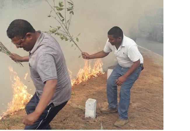 Fire in the forest of Swanala