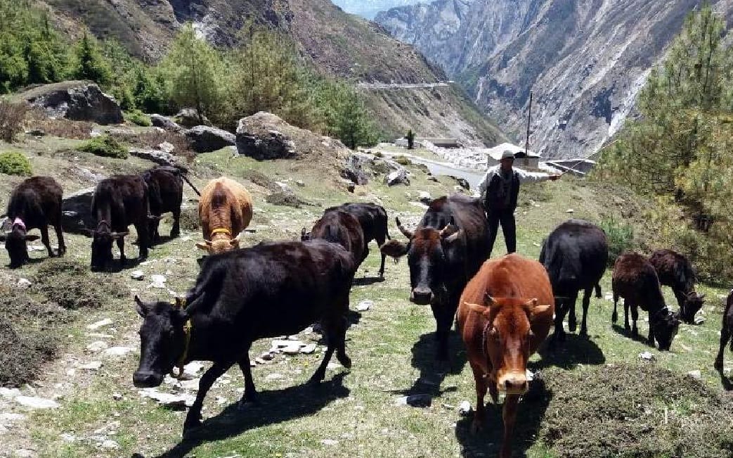India last village mana prepare before char dham yatra 2018