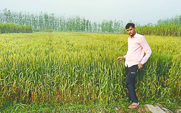 Farmer without cost will be bumper crop