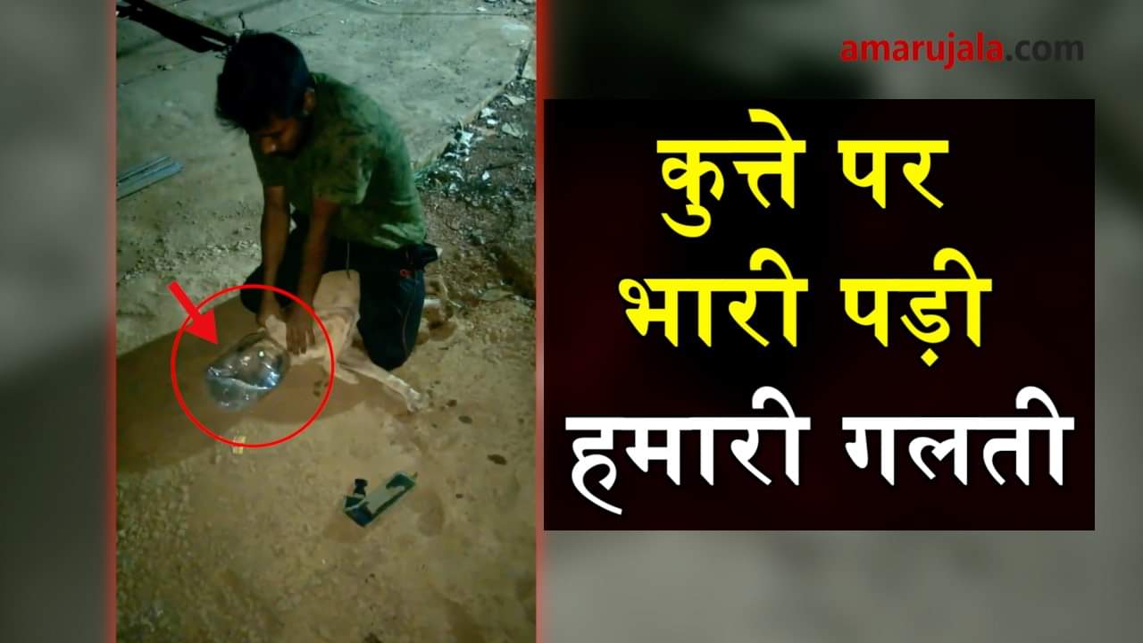 प्रतीकात्मक तस्वीर