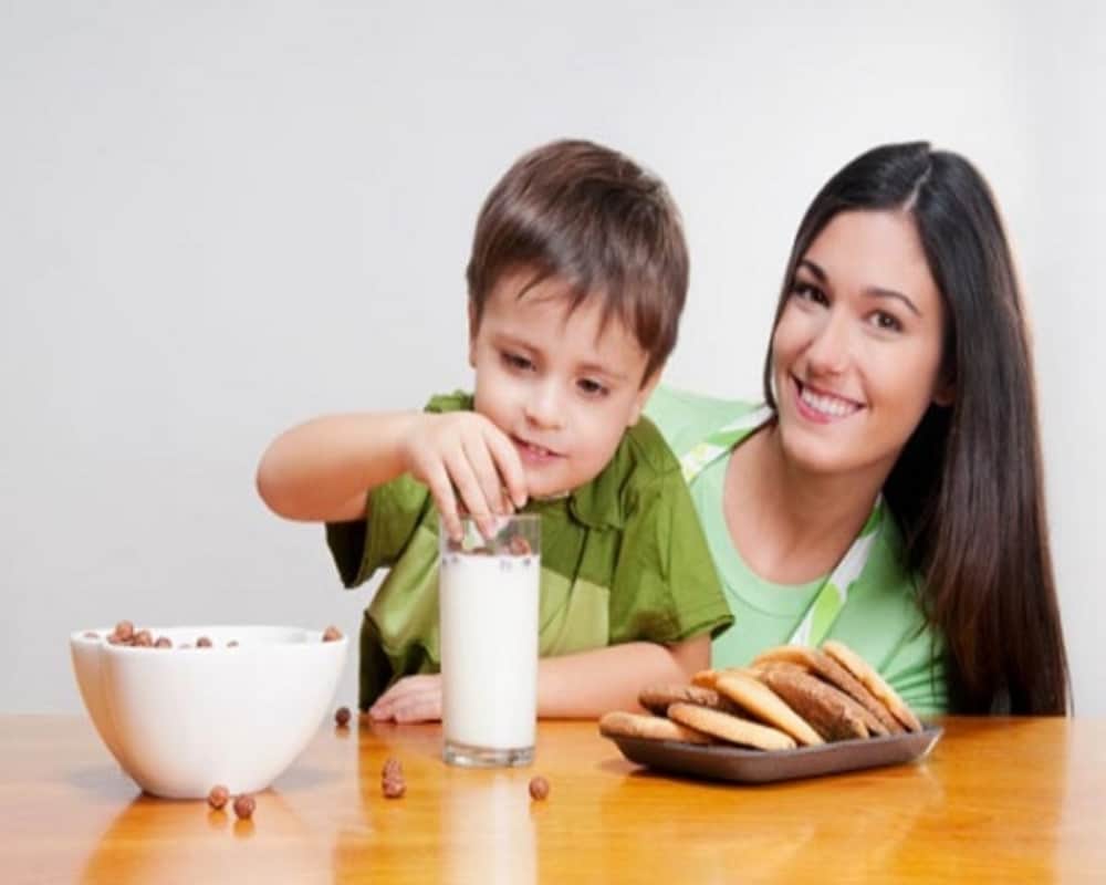 Japanese encephalitis dengue malaria and yellow fever all are transmitted by mosquitoes