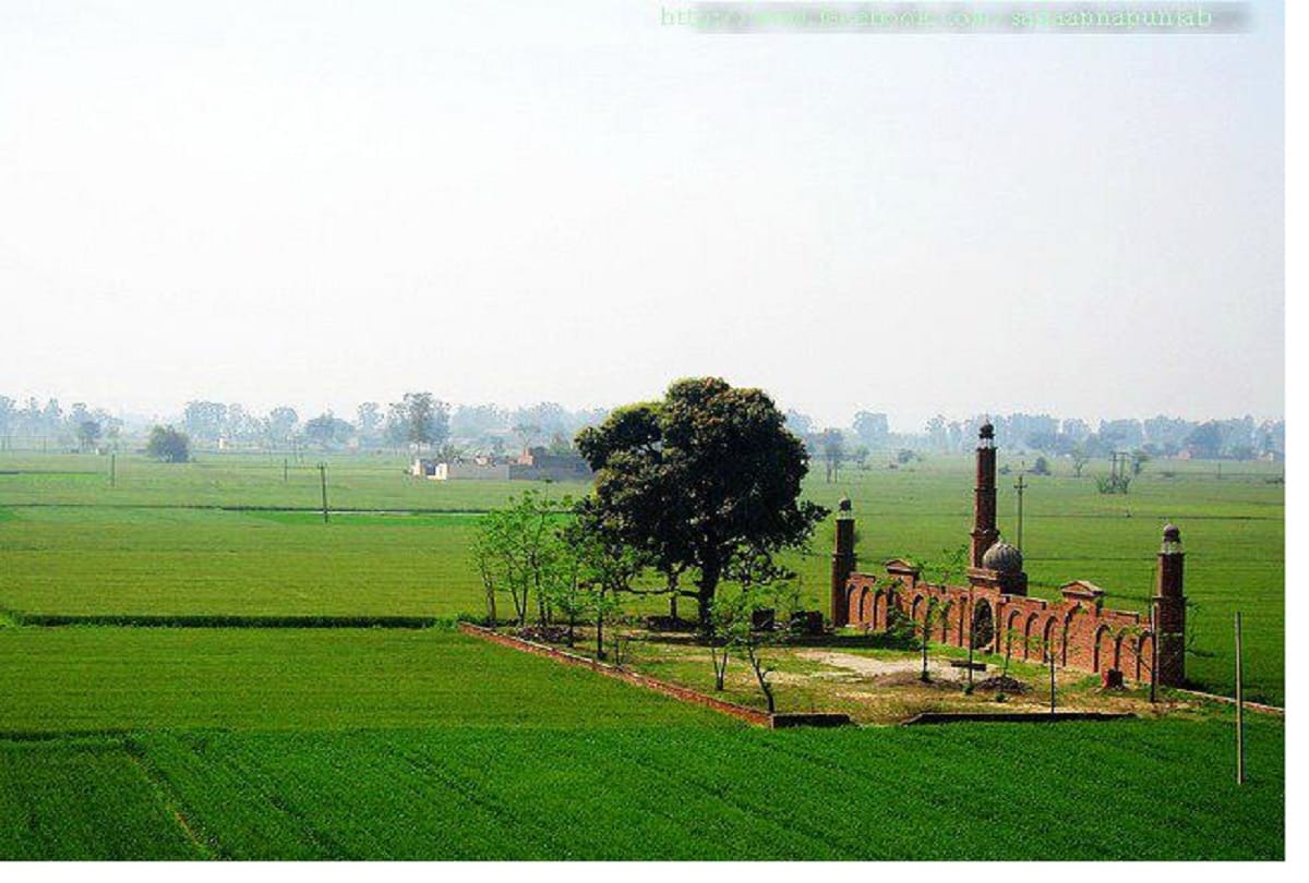 SC rejects HC's order, issued notice to UP government