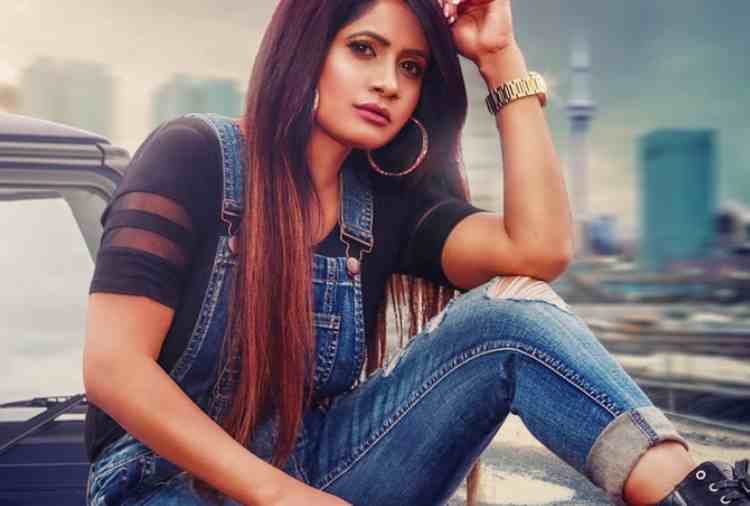 chandigarh, allegation on punjabi singer miss pooja, court order ro file police case