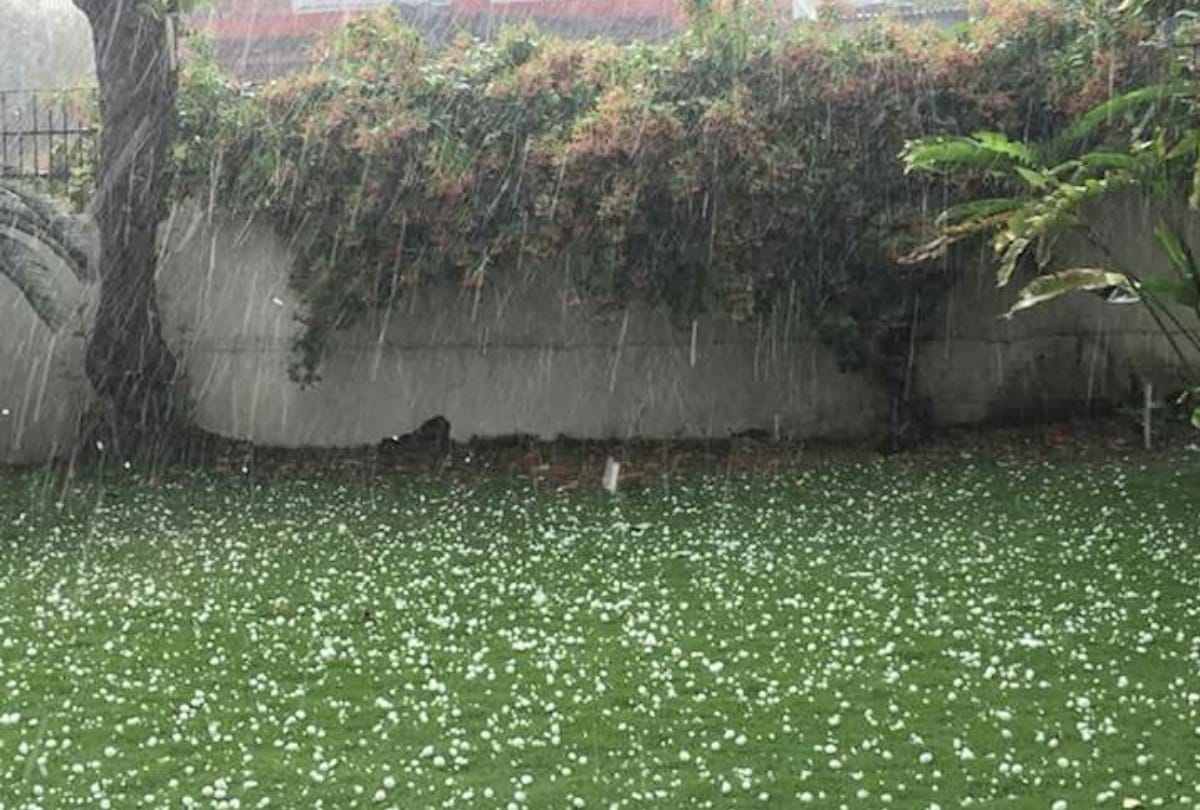 Himachal Weather Report thunderstorm rain damage crops in himachal pradesh