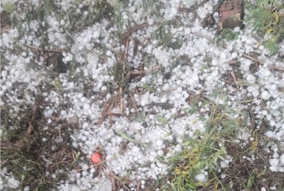 Himachal Weather Report thunderstorm rain damage crops in himachal pradesh