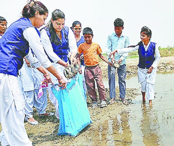 Cleanliness drive run by Ganga
