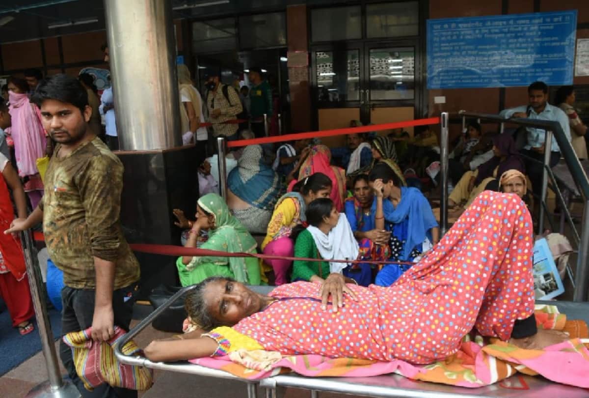 aiims resident doctors strike continues for third day against slapping to a doctor