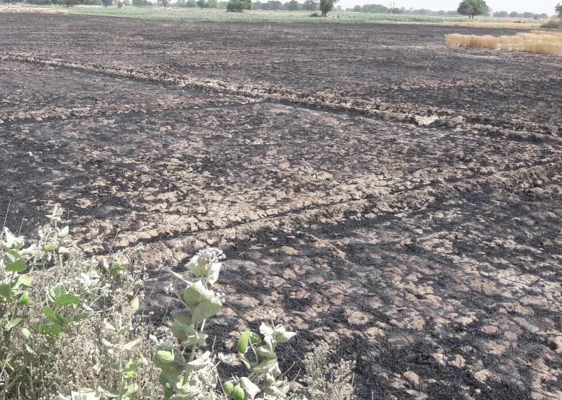 चिंगारी ने 18 दिन में छीना 30 किसानों से निवाला