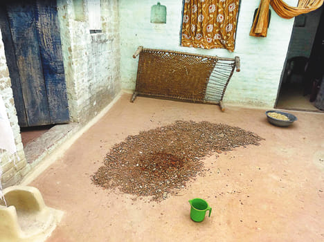Chhni Devi's house, chosen from a wide courtyard