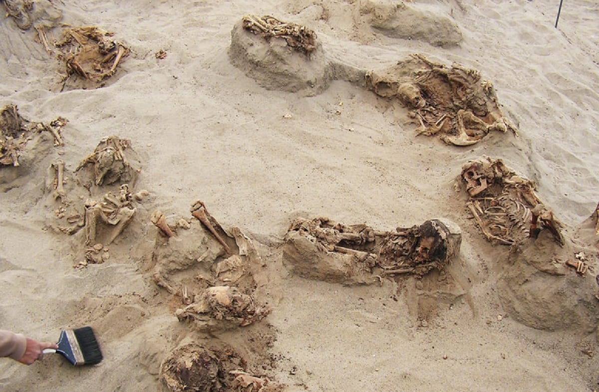 biggest ever sacrifice of children, found remains of 140 children in peru