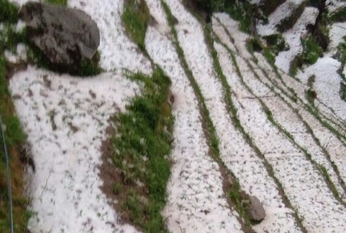 himachal weather report fresh snowfall rain and hailstorm 