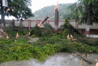 himachal weather report fresh snowfall rain and hailstorm 