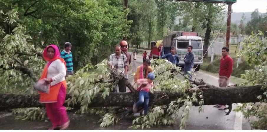 Eight trees collapsed, a power supply stalled