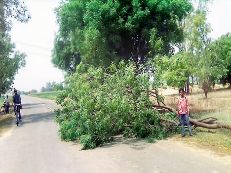 Hurricane storm hits, disrupts power supply
