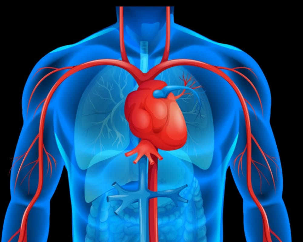 Now treat your heart with electric balloon that fixes hearts using pioneering technique
