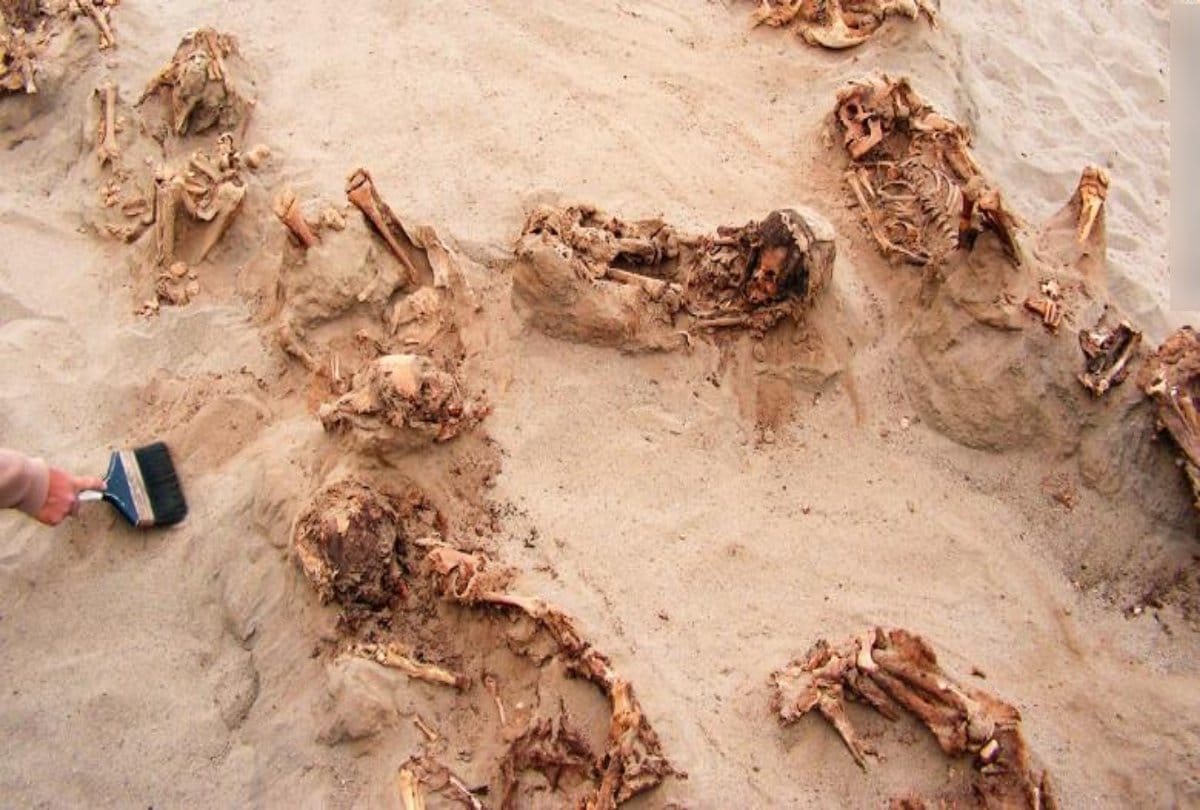 The biggest child sacrifice in history discovered in Peru