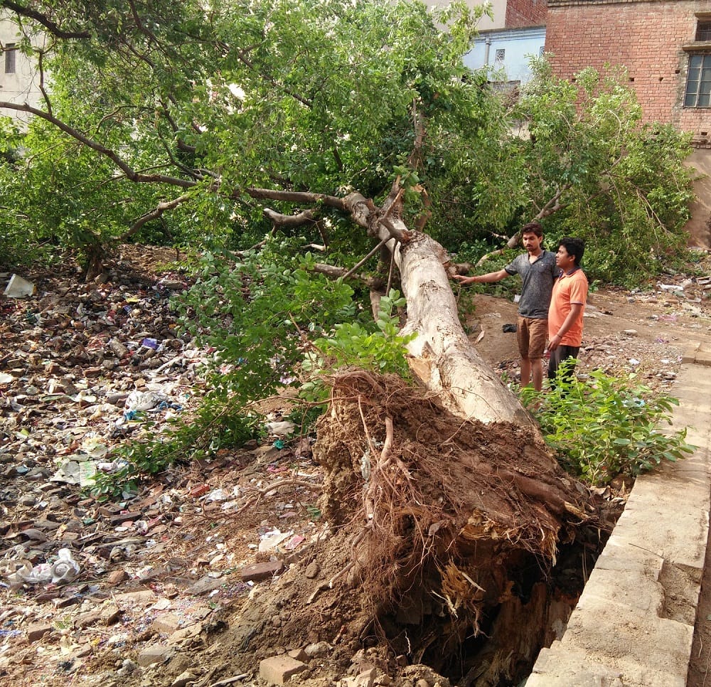 कहीं पेड़ गिरा तो कहीं उड़ गए जंफर