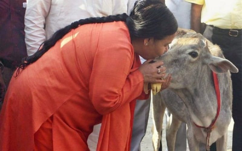 those who have trouble with the name of cow can take name in English say uma bharti