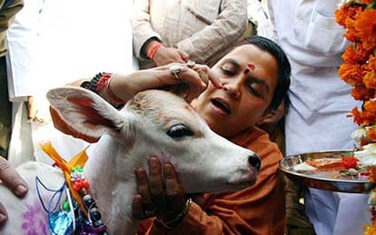 those who have trouble with the name of cow can take name in English say uma bharti