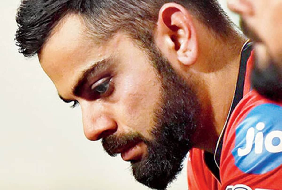 english cricketer Alexandra Hartley support royal challengers bangalore skipper virat kohli