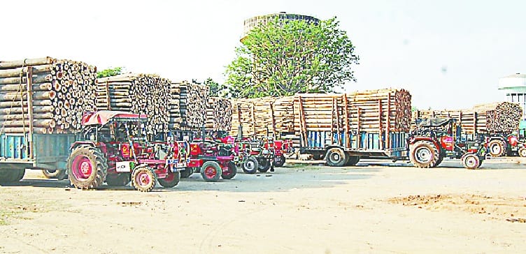 Seized 15 tractors and trollems laden with wood