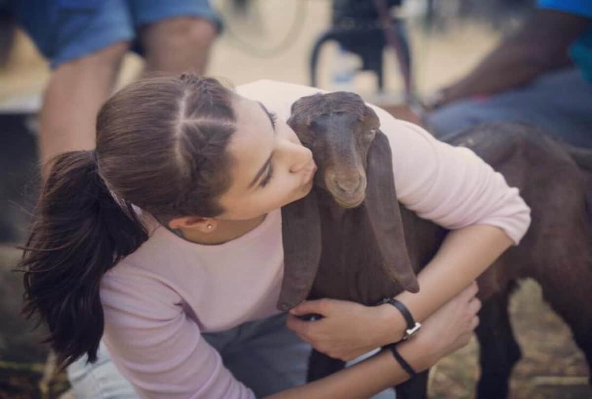 Anushka Sharma To Open animal shelter near Mumbai This is how people reacted