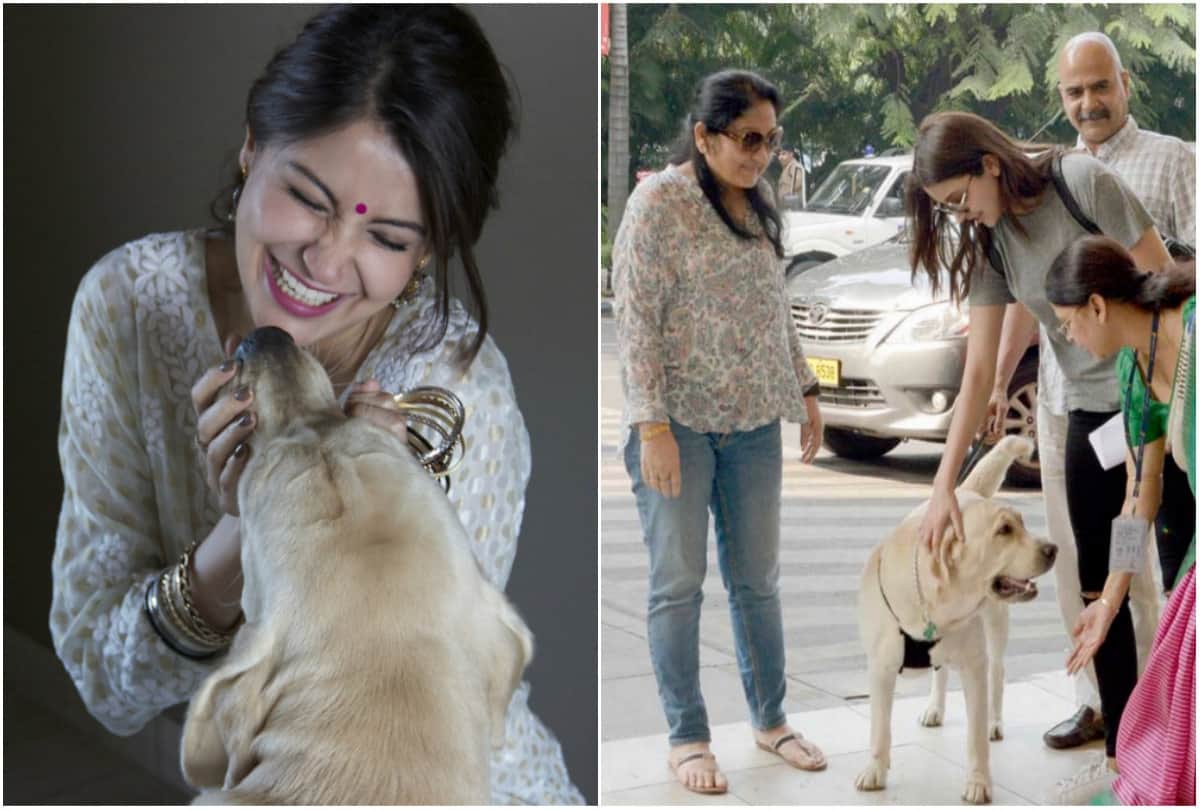 Anushka Sharma To Open animal shelter near Mumbai This is how people reacted