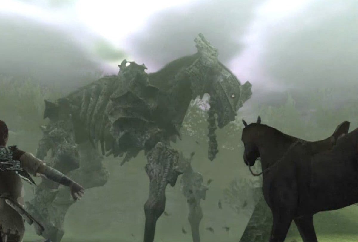 Amazing Facts about Human Face reader animal horse
